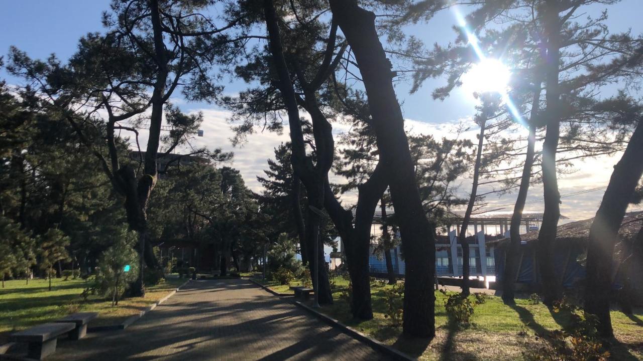 Hotel Palermo Kobuleti Eksteriør billede